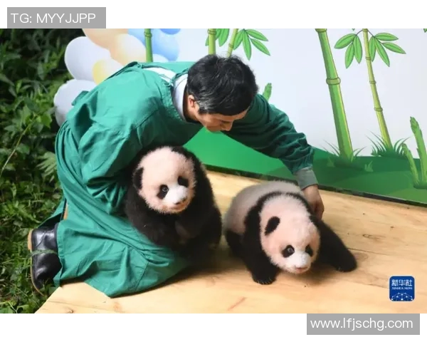 足球明星与可爱熊猫亲密互动拍照视频展现温馨瞬间